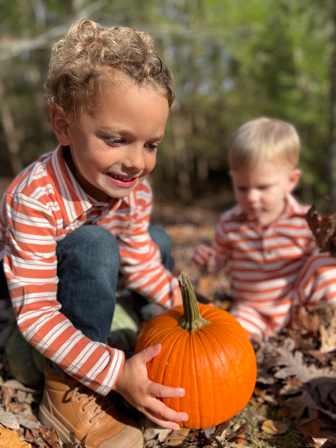  Pumpkin Patch Perfect