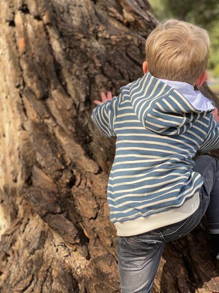 little, boy, climbing, on, tree, blue, cream, zipped, hooded, hoody, hood top, charcoal, jeans, autumn, henry, Warm, Layering. Layer. 