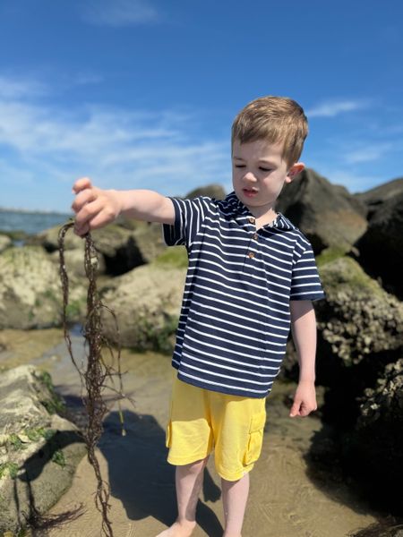 Boy playing on the rocks wearing a Navy/ whiteBoy playing on the rocks wearing a Navy/ white, Stripped, Stripes, Stripe, Hooded Top Short Sleeves, Sleeved, Sleeve Lemon Shorts. Hooded Top Short Sleeves, Sleeved, Sleeve Lemon Shorts.