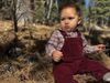GENTRY Burgundy Moleskin Woven Overalls
