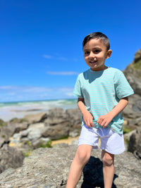 Aqua/Grey Stripe Tee