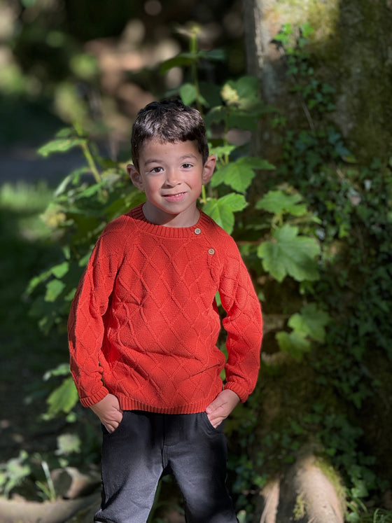 ARCHIE Rust Sweater
