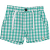 Crew Green Plaid Shorts