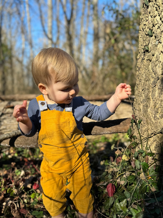 HARRISON Gold Cord Overalls