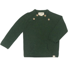  Forest MORRISON Baby Sweater