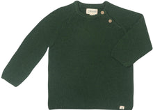  Forest ROAN Sweater