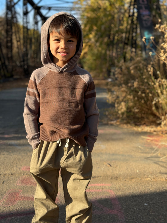 Pedro Brown/Beige Striped Hooded Sweater