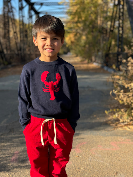 SNAPPY Navy Lobster Sweater