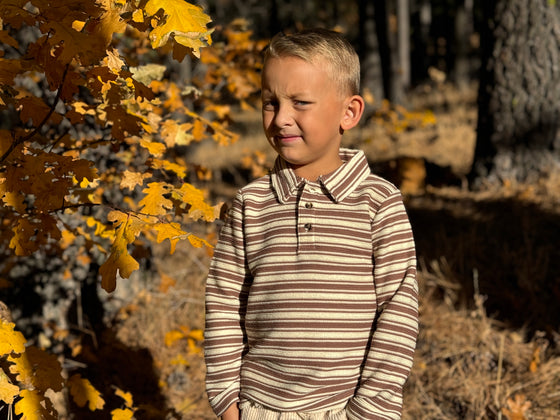 MIDWAY Brown/Beige Textured Stripe Polo