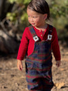 GENTRY Festive Blue Plaid Woven Overalls
