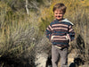 OAKDALE blue/rust stripe hooded sweatshirt