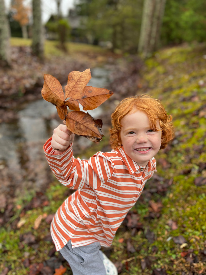 grey jog pants, white drawstrings, cuffed ankles, flexible waistband,cotton, polyester, spandex, little boy, ginger hair, pumpkin/white striped polo, holding autumn leaf, woodland, small stream, bright day, leaves on the floor, mud