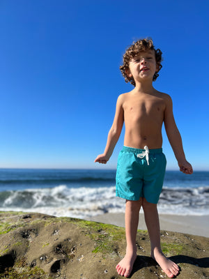 Heathered Aqua Swim Shorts