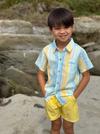 LEMON / BLUE STRIPE  NEWPORT WOVEN SHIRT