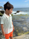 ANCHOR THIN GREEN STRIPE Polo