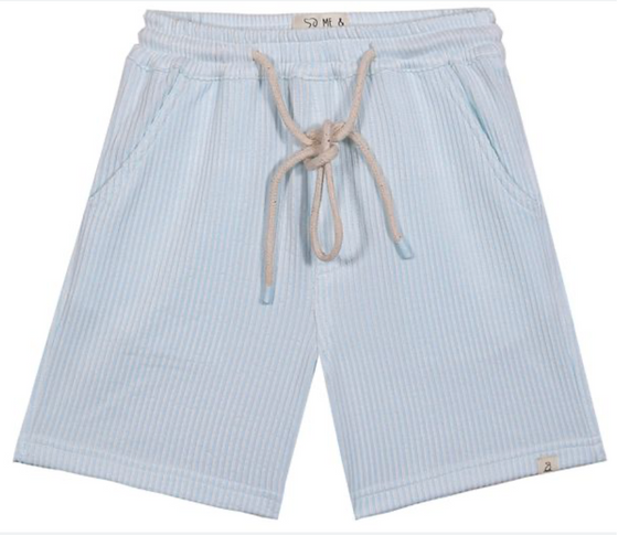 SPLISH BLUE WIDE STRIPE JERSEY KNIT SHORTS