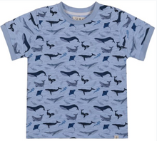  MOUSEHOLE BLUE WHALE PRINT  All over Printed Tee