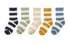 BIGFOOT wide stripe 5-pack socks