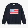 USA 250 Navy US Flag Sweater