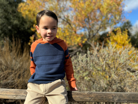 Pedro Orange/Navy Striped Hooded Sweater
