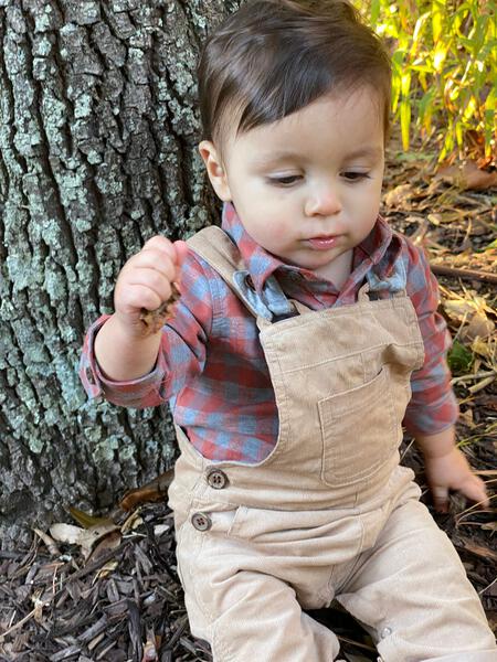 Stone overalls