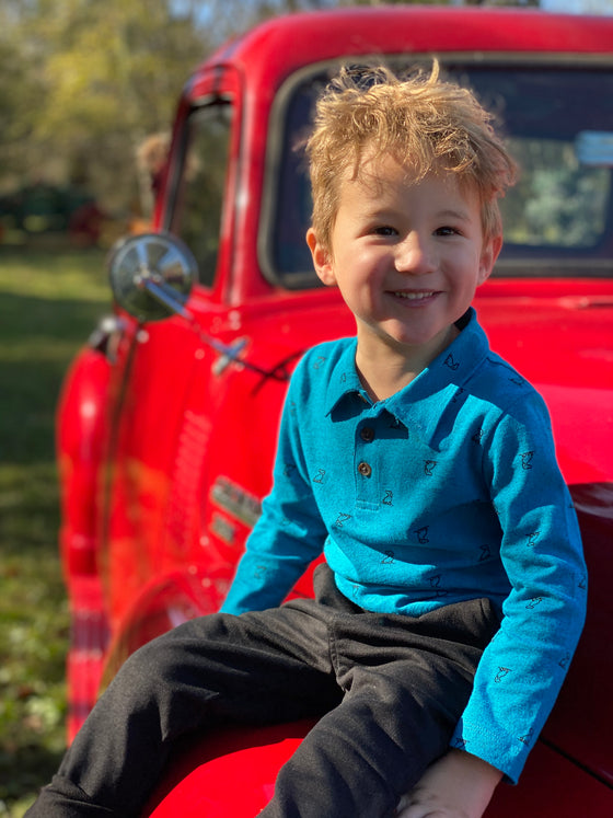 Teal, Henry. dog, polo, long, sleeve, sleeves, button, buttons, collar, charcoal, pants, little, boy, sitting, on, bonnet, of, car, cool, look, henry.