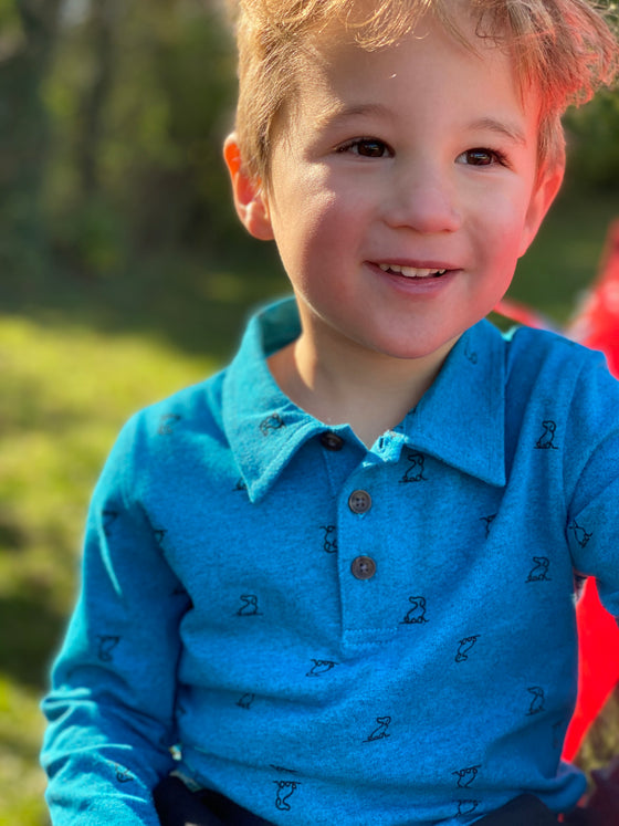 Teal, Henry, dog, polo, long sleeve, sleeves, button, buttons, collar, brown, hair, casual, autumn, henry, 