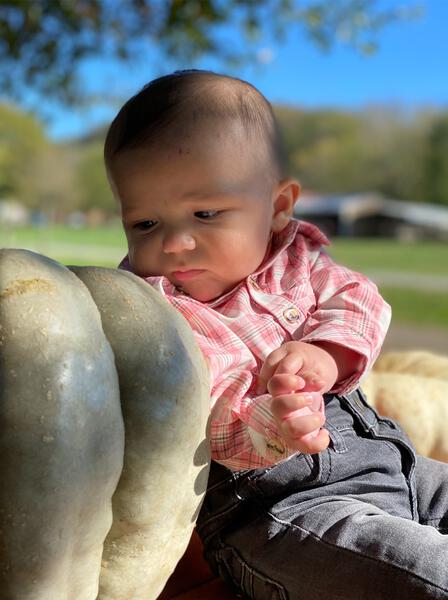 Pink, plaid, woven, shirt, onesie, baby, smart, buttoned, spring, summer, Henry.